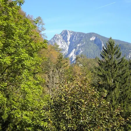 Turisticna Kmetija Stoglej Luče