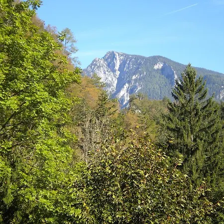 Turisticna Kmetija Stoglej Luče