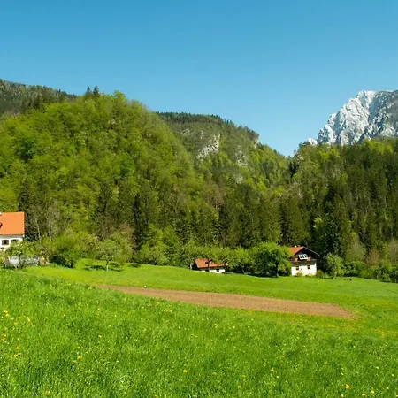 Turisticna Kmetija Stoglej *