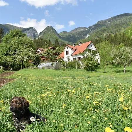 Turisticna Kmetija Stoglej Luče