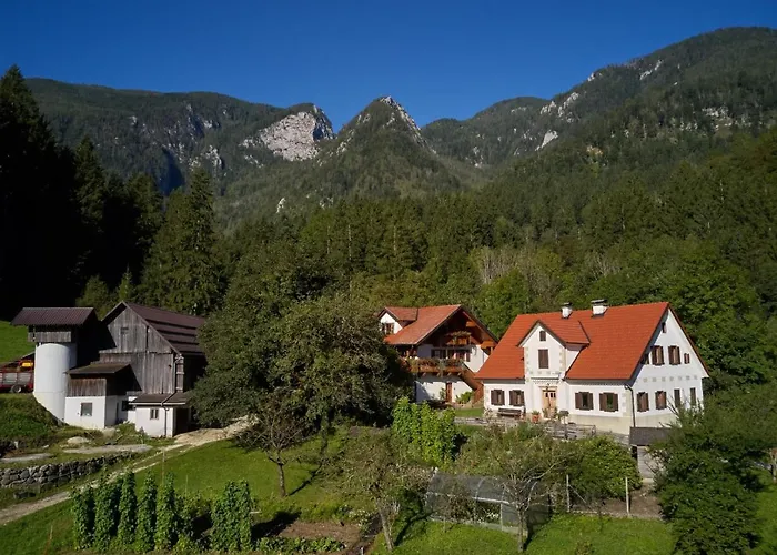 Фермерский дом Turisticna Kmetija Stoglej Luce