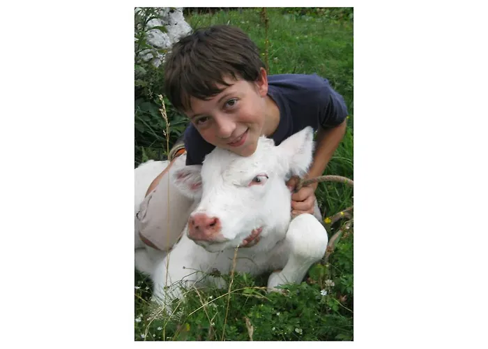 Turisticna Kmetija Stoglej Vakantieboerderij *