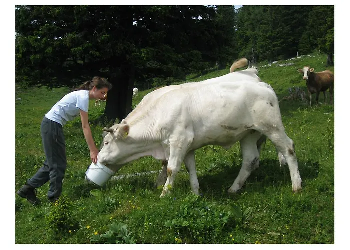 Turisticna Kmetija Stoglej * Luče