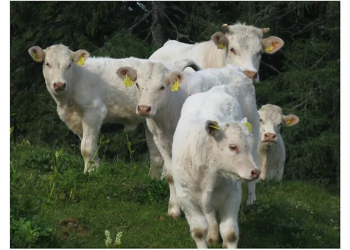 Vakantieboerderij Turisticna Kmetija Stoglej Luče