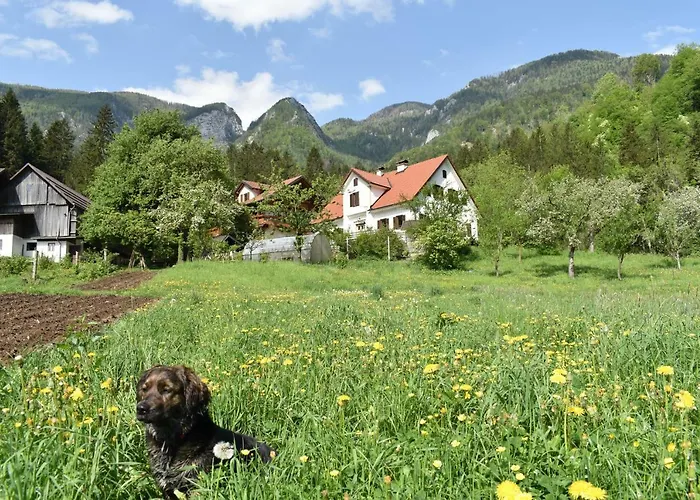 Turisticna Kmetija Stoglej Luče